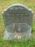 image of grave number 103620